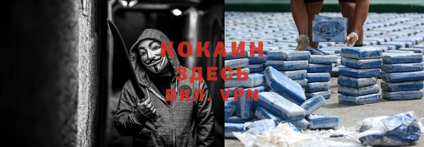 кокс Алексин