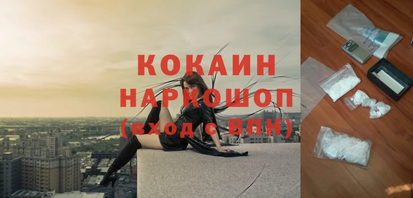 кокс Алексин