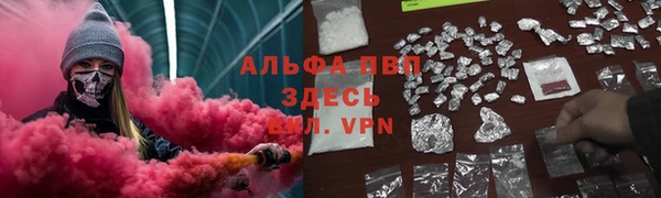 кокс Алексин