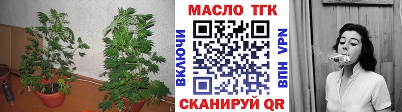 ТГК Wax  darknet Telegram  Полярные Зори 